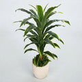 Dracaena Yapay Ağaç Beyaz Lüks Saksıda