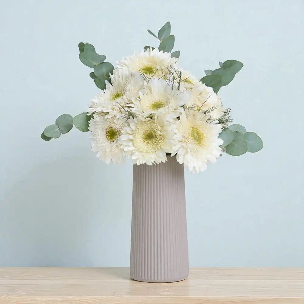 Bej Çizgili Vazoda Beyaz Gerbera Çiçekleri