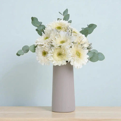 Bej Çizgili Vazoda Beyaz Gerbera Çiçekleri