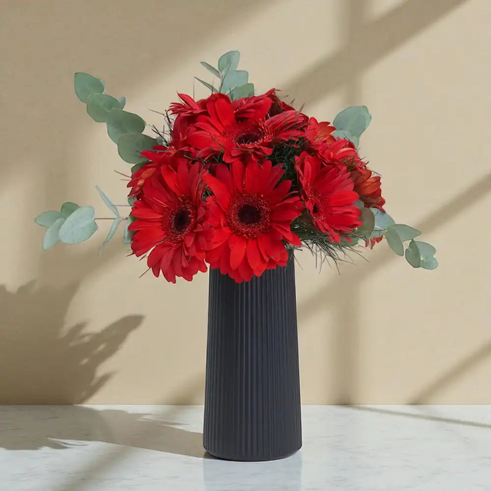 Siyah Çizgili Vazoda Kırmızı Gerbera Çiçekleri