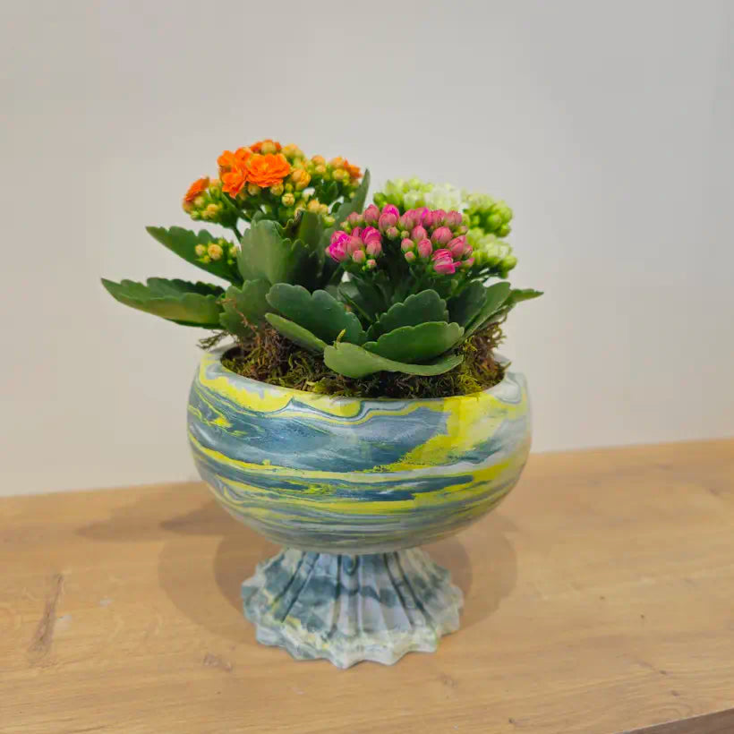 Mermer Desenli Ayaklı Saksıda Renkli Kalanşo (Kalanchoe) Aranjmanı
