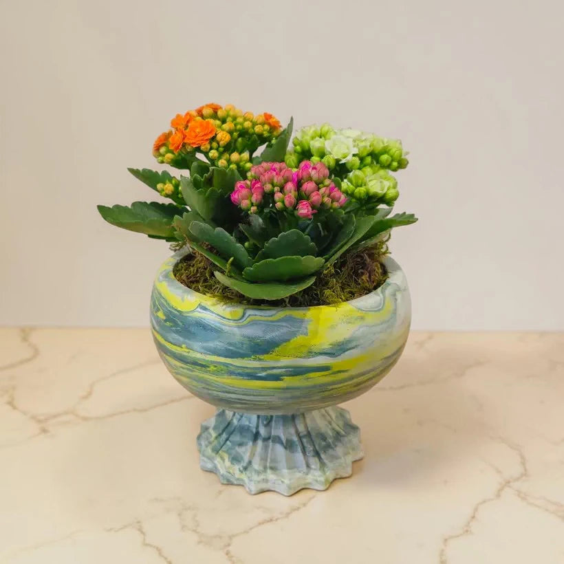 Mermer Desenli Ayaklı Saksıda Renkli Kalanşo (Kalanchoe) Aranjmanı